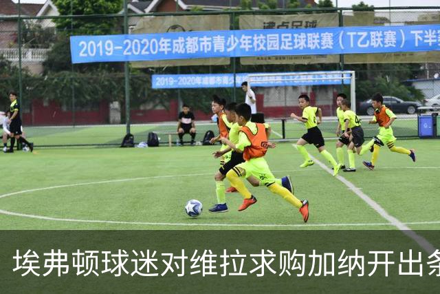 埃弗顿球迷对维拉求购加纳开出条件：拿1亿英镑来换中场数据王